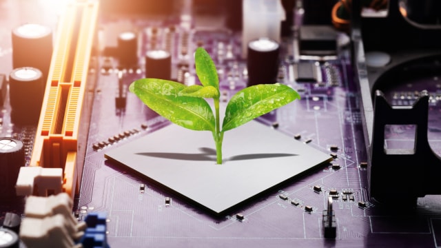 Green sprout growing out of a circuit board